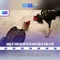 xn88 casino thai: Trải nghiệm đỉnh cao an toàn và đẳng cấp