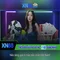trang xn88 – Dẫn đầu trải nghiệm và dịch vụ đỉnh cao