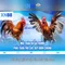 xn88 app com – Khám phá nền tảng và trải nghiệm số dẫn đầu