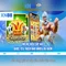 xn88 lucky – câu chuyện thương hiệu và hành trình số hóa