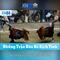 xn88 sa – Trải nghiệm đỉnh cao và cộng đồng tin cậy