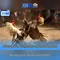 xn88 sa – Trải nghiệm đỉnh cao và cộng đồng tin cậy