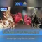 xn88 casino thai: Trải nghiệm đỉnh cao an toàn và đẳng cấp