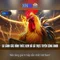 trang xn88 – Dẫn đầu trải nghiệm và dịch vụ đỉnh cao