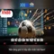xn88 casino thai: Trải nghiệm đỉnh cao an toàn và đẳng cấp