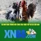 xn88 game: Hướng dẫn trải nghiệm và đánh giá